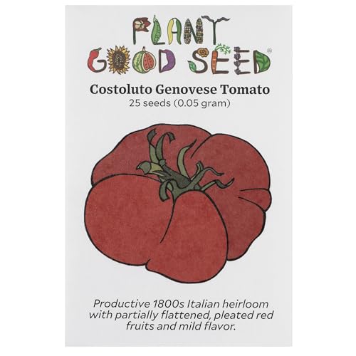 Plant Good Seed Organic Costoluto Genovese Seeds