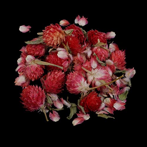 2X 4g/Bolsa de flores secas naturais para fazer velas, fabricação de ornamentos de resina