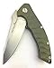 TACTICAL GEARZ TG Veer, OD Green EDC Folding Knife w/Sheath! G10, Ball Bearing Pivot System, 9Cr18MoV Stonewashed Stainless Steel Blade! (Veer)