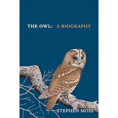The Owl: The perfect gift for bird lovers