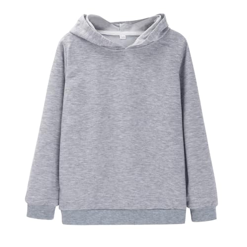 Girls Boys 2 Piece Tracksuit Jogging Outfits Set Hooded Sweatshirt and Jogger Sweatpants Clothing Sets Toddler Kid Sweatsuit3