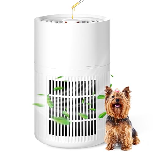 Blosssound Mini purificador de aire para dormitorio, habitación p...