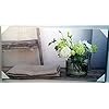 Ariane yj-50 * 100fm1 Leinwand Bedruckt Leinwand Mehrfarbig 100 x 50 x 3 cm