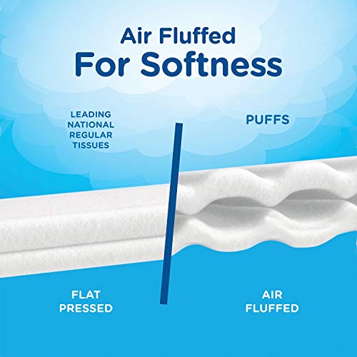Puffs Plus Lotion Facial Tissues, 10 Family Boxes (132 Tissues Per Box) #TOP2