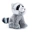 Raccoon