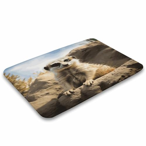 Felpudo de entrada 40 x 60 cm resistente y alfombra antideslizante con suricata para hogar 5