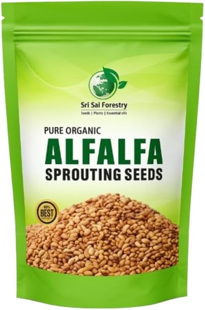 Alfalfa (Alfa) Sprouting Seeds | Premium Non-GMO, Graded Seeds for Sprouting & Microgreens (100G)