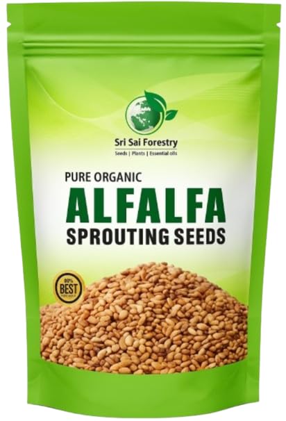 Alfalfa (Alfa) Sprouting Seeds | Premium Non-GMO, Graded Seeds for Sprouting & Microgreens (100G)