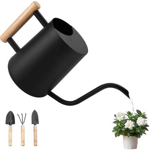 BBWELL Arrosoir en Acier Inoxydable,1L Arrosoir pour Plantes D'intérieur,Arrosoir Petit avec Long Bec et Outils de Jardinage en Pot,Poignée en Bois...