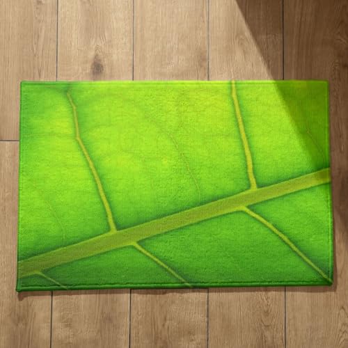 Alfombra antideslizante bañera y cocina rectangular de 50x80cm 2