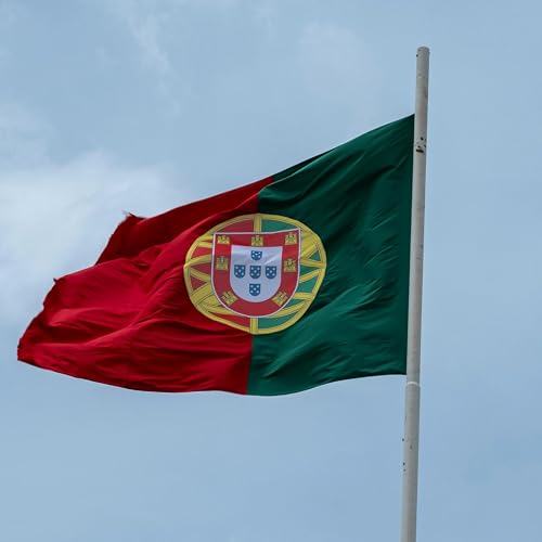 Portugal Drug Decriminalization | 14 Years Later