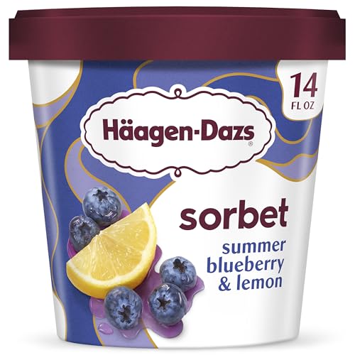 Haagen Dazs Summer Blueberry and Lemon Sorbet, 14oz