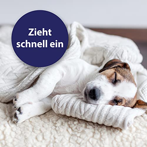 Pfotenbalsam Canosept zur Pflege von Hundepfoten 75g