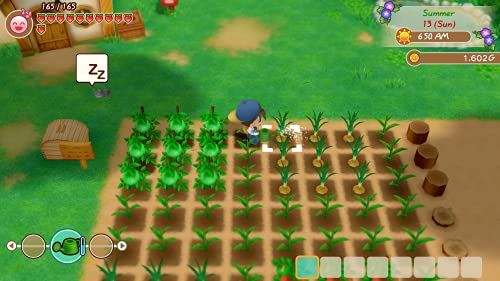 STORY OF SEASONS: Friends of Mineral Town - PlayStation 4 by Xseed Games - Image 4
