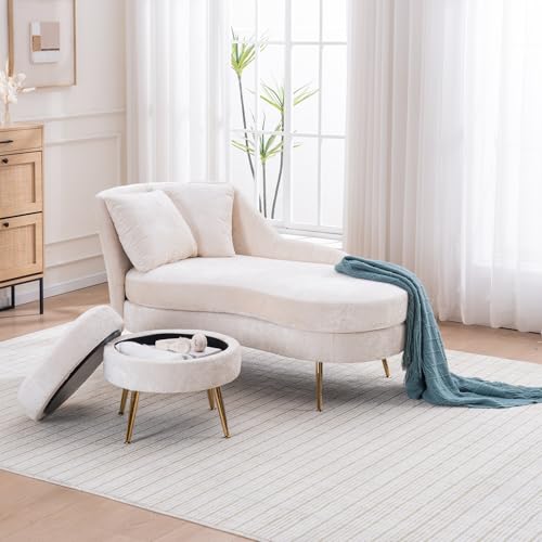 HAKSYEAL Chaise Lounge Chair Indoor with Storage Ottoman & Metal