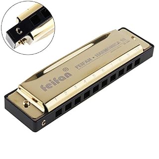 10 trous 20 tons or mat/noir Portable Harmonica Blues harpe bouche orgue Instrument de musique en acier inoxydable pour… - Les Beatles, Paul McCartney, John Lennon, RIngo Starr, George Harrison 10 trous 20 tons or mat/noir Portable Harmonica Blues harpe bouche orgue Instrument de musique en acier inoxydable pour… – Image 2