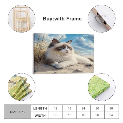 Ragdoll chat impression sur toile affiche decoration murale 50x75