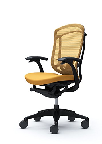 IJ RebT ZR_ ItBX`FA nCobN fUCA[ iCLX^[ :NbV CG[ CC43MS-FPD9