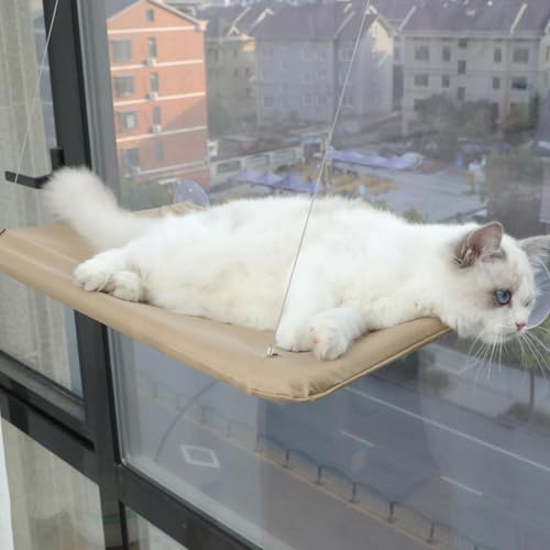 Cama de ventana para gatos con ventosas fuertes y base estable 4