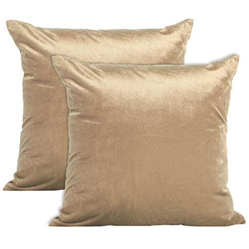 Encasa Homes Juego de 2 Fundas de cojín DE Terciopelo de (60 x 60 cm) - Beige - Tinte de Color Plano Constante, Suaves y aterciopelados, Lavables, Funda de Almohada Grande Decorativa