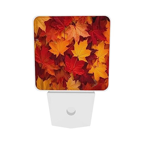 Image of Autumn Leaves Fall LED Plug-in Night Light 2-Pack, Auto Sensor Nightlights Set of 2 for Bedroom Bathroom