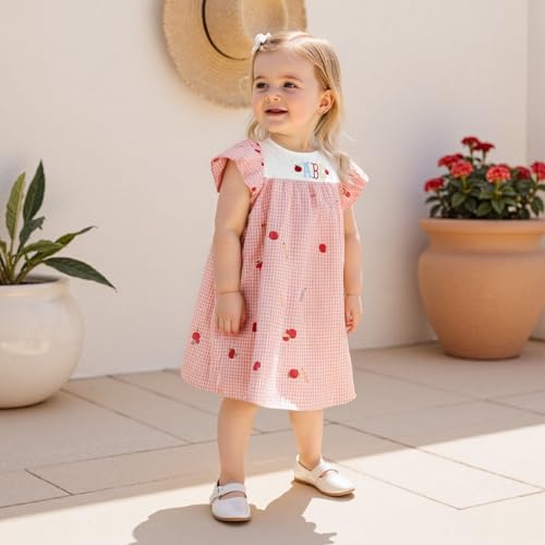 Kid Baby Girl Back to School Outfit Plaid Pencil Embroidery Fly Sleeve Smocked Dress Toddler First Day of School Dress3