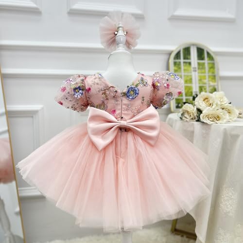 Flower Girls Toddler Dress Embroidered Tulle Dress for Birthday Princess Tutu Dresses Baby Girl Special Occasion4