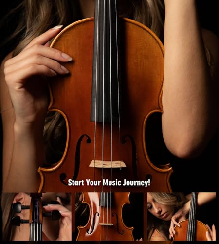 Aileen Violin 4/4 Erwachsene, Geige Anfänger Glänzendes antikes Erscheinungsbild
