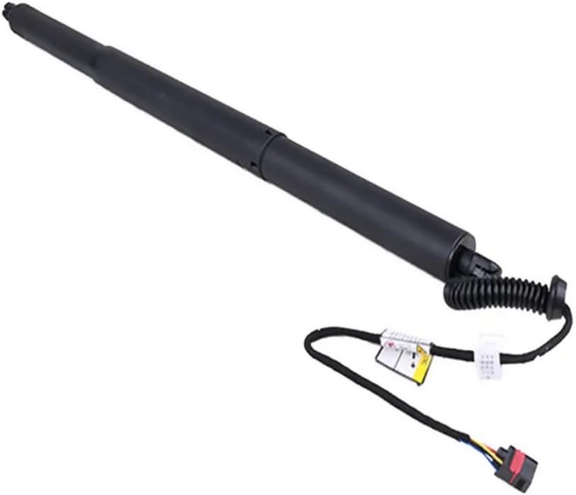 定価4万 新品未使用品】三味線 琉球 知念大工型 ハードケース付き 付属