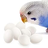 SunGrow Fake Wooden Eggs to Train Birds from Laying in The Nesting Boxes & to Stop from Eating Own Eggs, White Color, 8 Pack Suitable for Parakeet and Finch, 0.82x0.62”