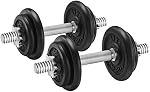 SONGMICS Ensemble de 2 Cast Iron Dumbbells, Plaques de poids, Ajustable pour hommes Femmes entraînement, Poignée en acier, Fitness Training, Weight Lift, Gym à domicile, Encre noire