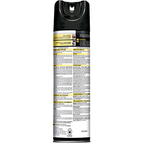 Image of Black Flag Ant & Roach Killer Aerosol, Unscented, 17.5-Ounce, 12-Pack
