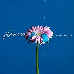 Firebirds / MAGIC OF LiFE