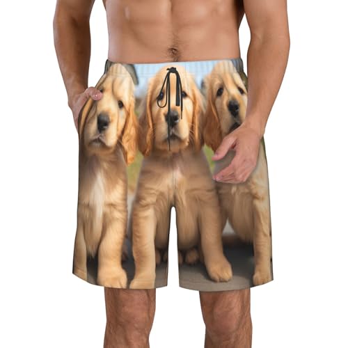 Three Cute Little Dogs Men's Beach Pants-Quick-Dry & Comfortable Mens Beach Shorts for Men, Perfect for Surfing and Everyday Wear White