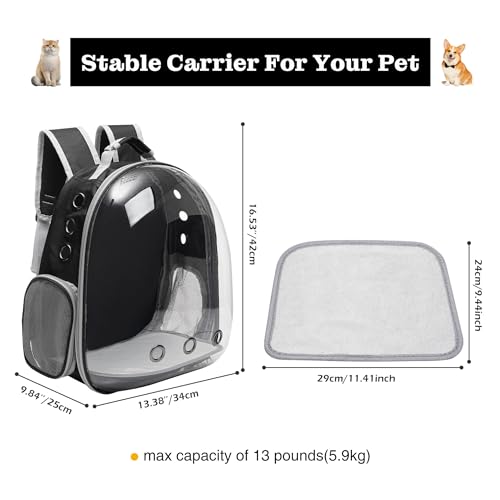 Vivicreate Large Transparent Bubble Backpack