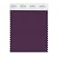 Plum Purple