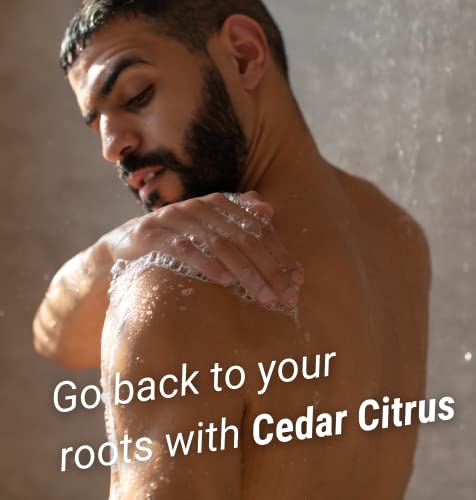 Sylvan Art Cedar Citrus Natural Scent Handmade Organic, Essential Oils Men's Soap Bar Beard Body, Face Wash Bath Nourishing Bar Soap - 5.5 Ounce #TOP4