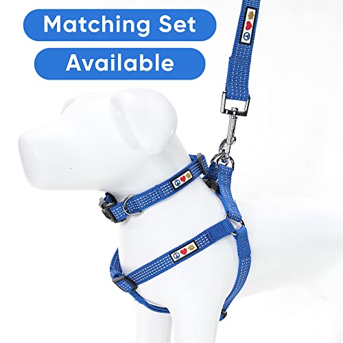 Collar Reflectante Pawtitas para Perros Pequeños Talla S Azul miniatura 6