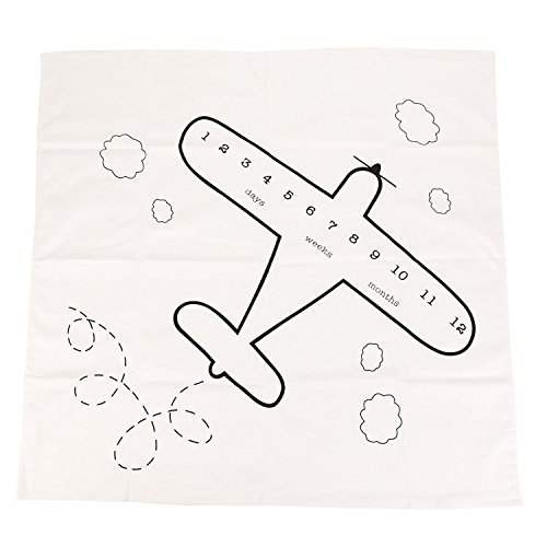 Image of Hollyhorse Airplane Baby Blanket | Newborn Monthly Milestone Photo Blanket - Baby Boy Age Blanket for Growth Keepsake Photo