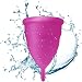 Blossom Menstrual Cup (Large, Violet)