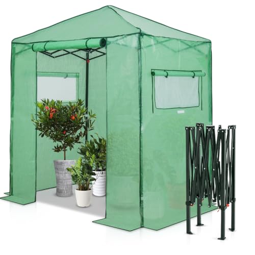 EAGLE PEAK 6x4 Portable Walk in Greenhouse, Pop Up Indoor Outdoor Greenhouse, Green House Kit with Zippered Roll-Up Doors and Windows, PE Cover, Clear/Green