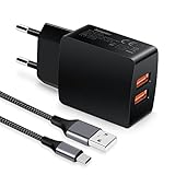 Alternativer Ausgang: Dieses USB-Ladegerät verfügt über 2 USB-A-Ausgangsports und kann eine stabile Leistung von bis zu 5 V 2,1 A liefern, sodass Sie 2 Geräte gleichzeitig aufladen können, was eine gute Wahl für ein Backup-Ladegerät ist.