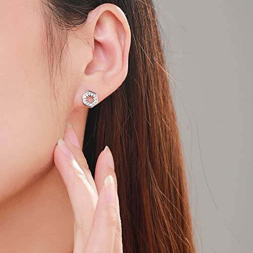 Goujon en argent sterling cadeau idéal anniversaire hexagone - 4