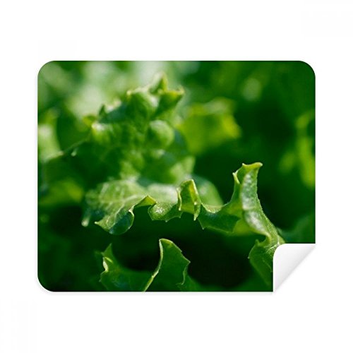 Nettoyant écran smartphone motif plante tissu suède pour le bureau