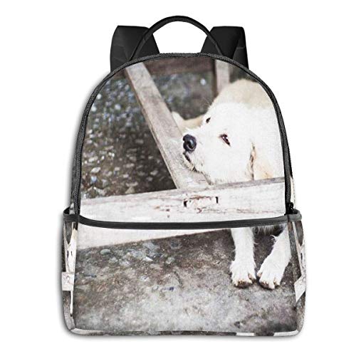 Preisvergleich Produktbild Schulrucksack Schultaschen Mädchen Teenager Rucksack Schultasche Schulrucksäcke wasserdichte Backpack für Damen Herren Geeignet 14 Zoll Notebook Trauriger Labrador, der Hund legt