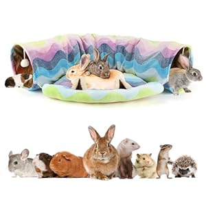 BWOGUE Bunny Tunnel Bed, 2-in-1 Collapsible Tunnel Tubes Toys with Removable Mat Hideout for Cats Kittens Rabbits Guinea Pigs Kitty