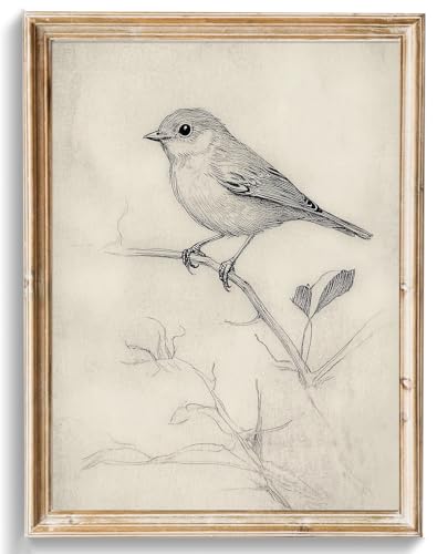 uniro Vintage Bird Sketch Wall Art Prints...