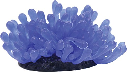 Tetra Wonderland Collection Coordinated Décor Anemone Tetra Wonderland Collection Coordinated Décor Anemone