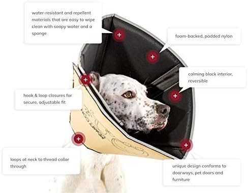 dog cone fitting