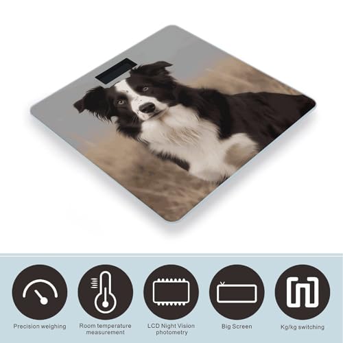 Báscula digital inteligente para baño Border Collie miniatura 3
